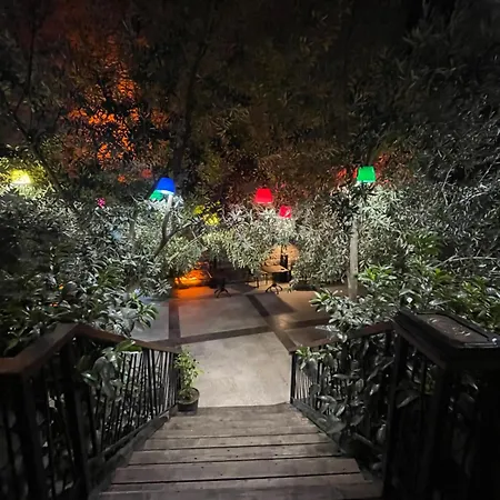 吉利提吉酒店 酒店 4*